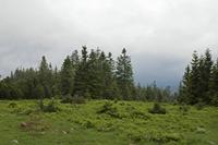 Cjp_2016_06_08_131250.jpg