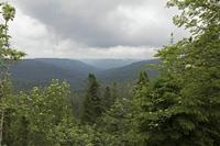 Cjp_2016_06_08_132038.jpg