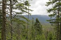 Cjp_2016_06_08_132408.jpg