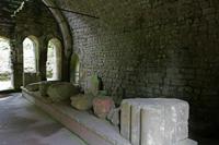 Cjp_2016_06_08_143526.jpg