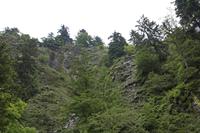 Cjp_2016_06_08_151402.jpg