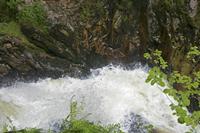 Cjp_2016_06_08_151646.jpg