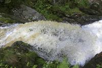 Cjp_2016_06_08_151710.jpg