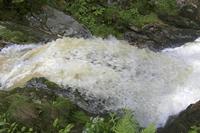 Cjp_2016_06_08_151716.jpg