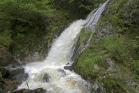 Cjp_2016_06_08_151736.jpg