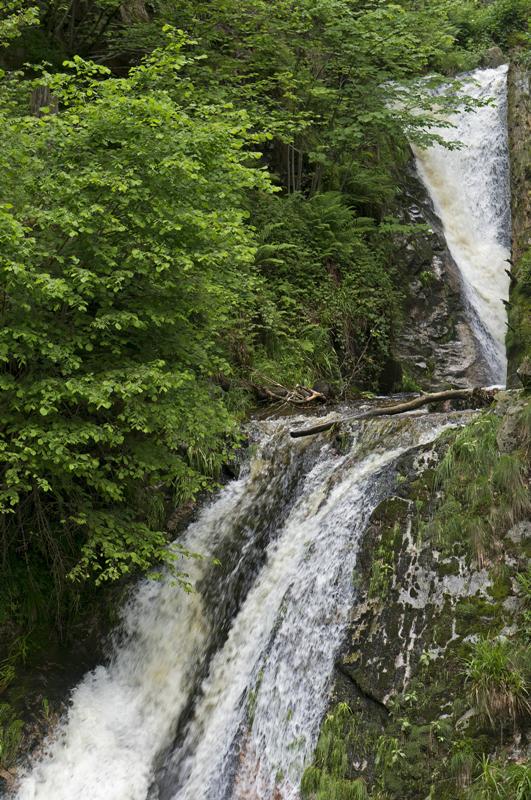Cjp_2016_06_08_154247.jpg