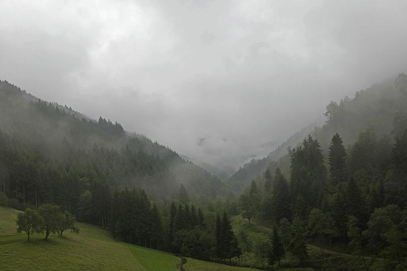 Cjp_2016_06_09_044140.jpg