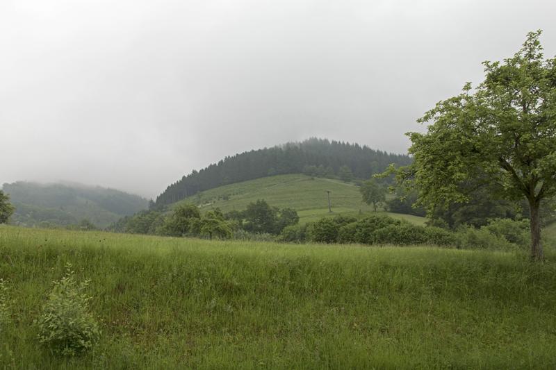 Cjp_2016_06_09_061432.jpg