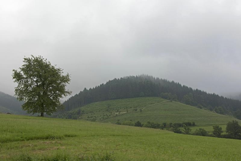 Cjp_2016_06_09_061716.jpg