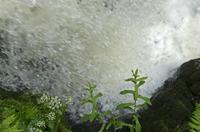 Cjp_2016_06_08_154401.jpg