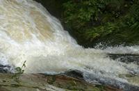 Cjp_2016_06_08_154841.jpg
