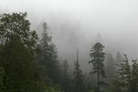 Cjp_2016_06_09_042212.jpg