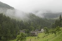 Cjp_2016_06_09_044004.jpg