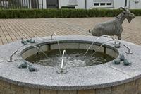 Cjp_2016_06_09_052948.jpg