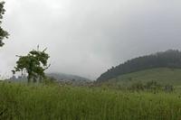 Cjp_2016_06_09_061458.jpg