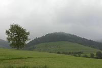 Cjp_2016_06_09_061716.jpg