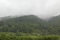 Cjp_2016_06_09_062248.jpg