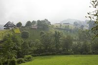 Cjp_2016_06_09_062512.jpg