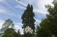 Cjp_2016_06_09_080322.jpg
