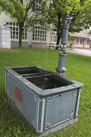 Cjp_2016_06_09_081626.jpg