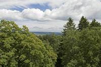 Cjp_2016_06_09_114338.jpg