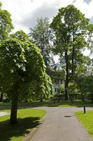 Cjp_2016_06_09_115700.jpg