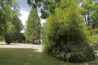 Cjp_2016_06_09_115812.jpg