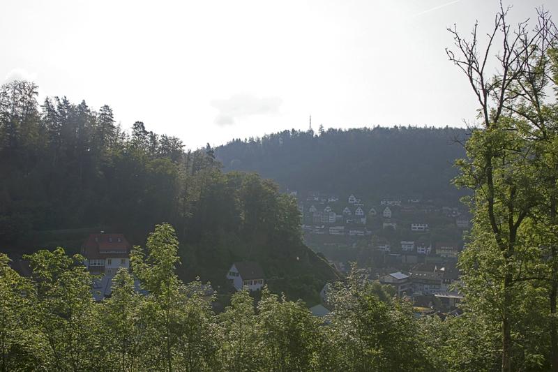 Cjp_2016_06_10_060838.jpg