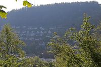 Cjp_2016_06_10_055630.jpg