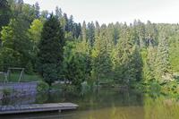 Cjp_2016_06_10_060316.jpg
