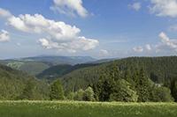Cjp_2016_06_10_075956.jpg