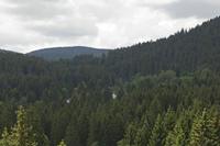 Cjp_2016_06_10_112300.jpg