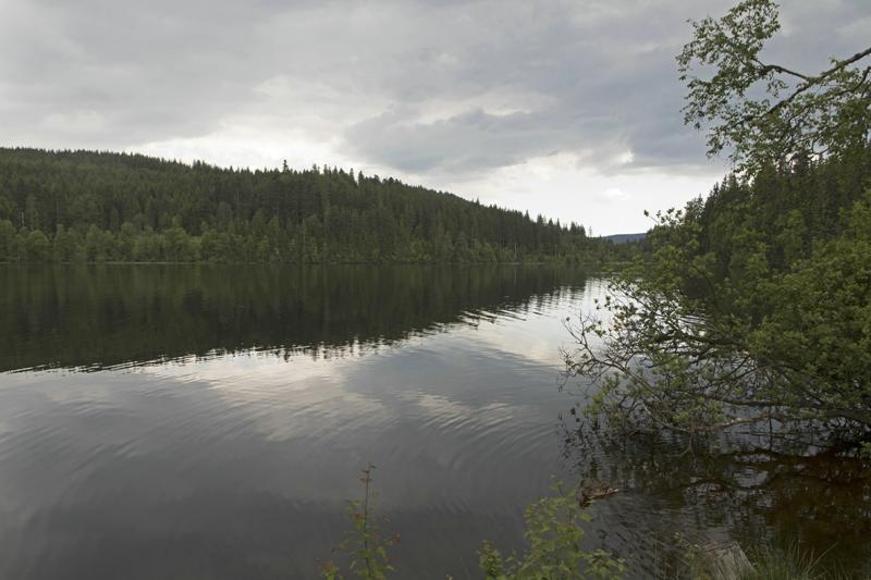 Cjp_2016_06_10_151422.jpg