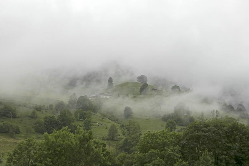 Cjp_2016_06_11_070838.jpg