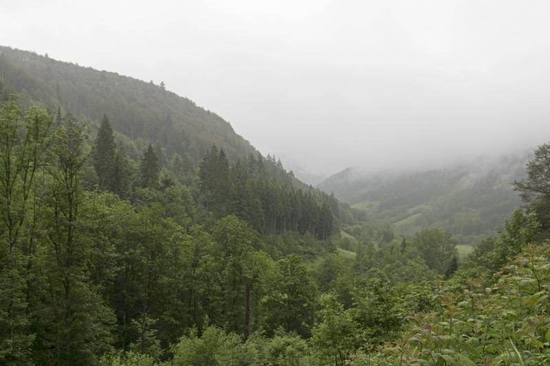 Cjp_2016_06_11_072512.jpg