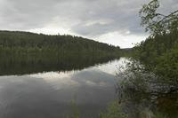 Cjp_2016_06_10_151422.jpg