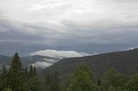 Cjp_2016_06_11_051316.jpg