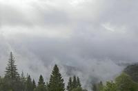 Cjp_2016_06_11_062424.jpg