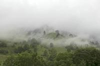 Cjp_2016_06_11_070838.jpg