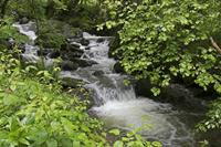Cjp_2016_06_11_071548.jpg