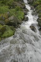 Cjp_2016_06_11_072050.jpg