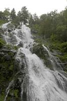 Cjp_2016_06_11_072934.jpg