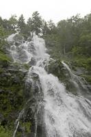 Cjp_2016_06_11_072958.jpg