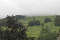 Cjp_2016_06_11_080008.jpg