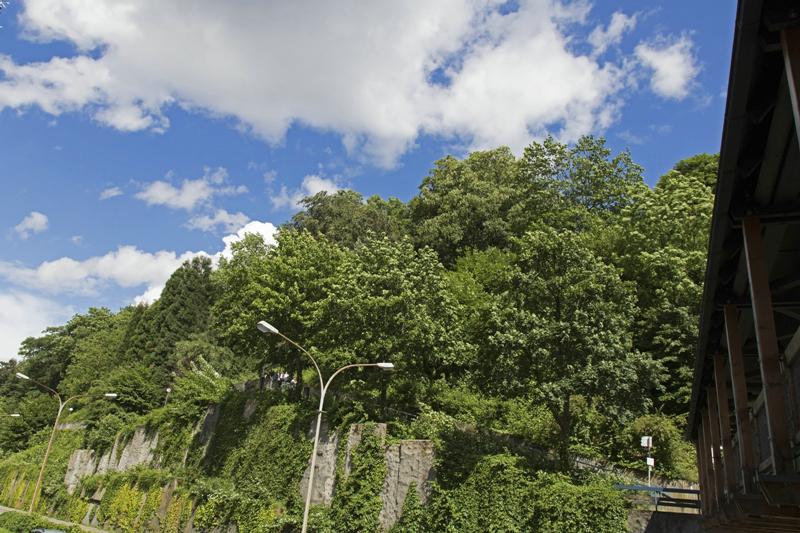 Cjp_2016_06_11_140224.jpg