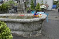 Cjp_2016_06_11_080604.jpg