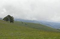 Cjp_2016_06_11_112424.jpg