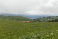 Cjp_2016_06_11_112448.jpg