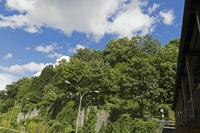 Cjp_2016_06_11_140224.jpg