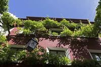 Cjp_2016_06_11_140520.jpg